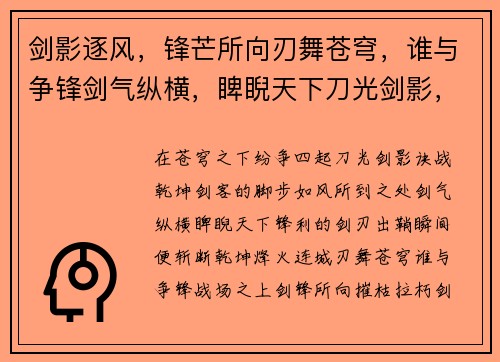 剑影逐风，锋芒所向刃舞苍穹，谁与争锋剑气纵横，睥睨天下刀光剑影，决战乾坤烽火连城，剑刃出鞘