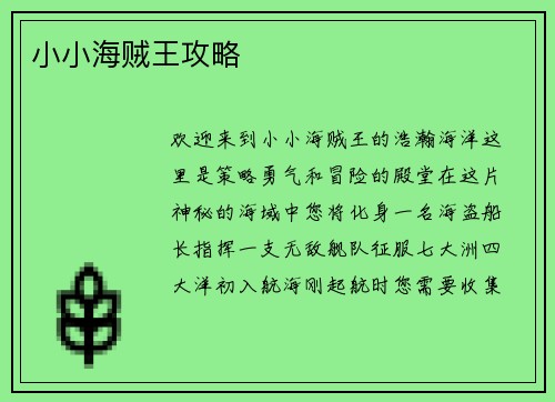 小小海贼王攻略