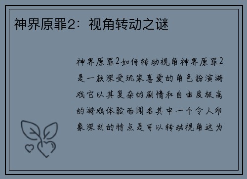 神界原罪2：视角转动之谜